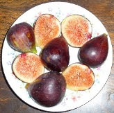 Brown Turkey Fig, a.k.a.  Texas Everbearing Fig,   Abique Noire Fig, Negro Largo Fig, San Piero Fig,, Ficus carica 'Brown Turkey'